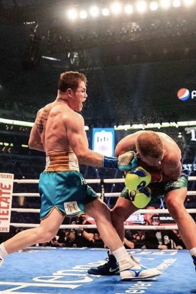 TopOne IPTV 22 HD-wallpaper-canelo-alvarez-boxing-saunders.jpg